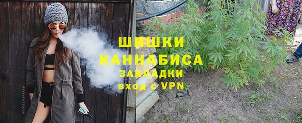 дживик Абинск