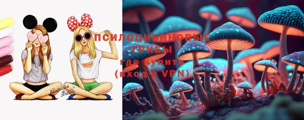 альфа пвп Новодвинск