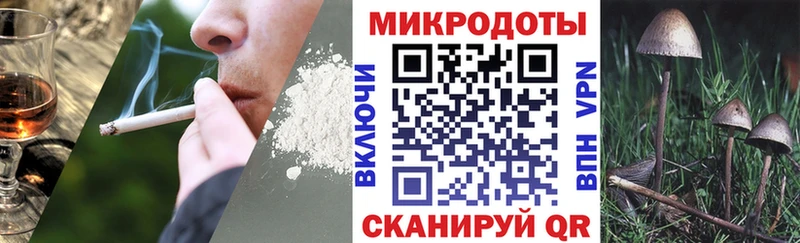как найти   Усть-Лабинск  Псилоцибиновые грибы мухоморы 